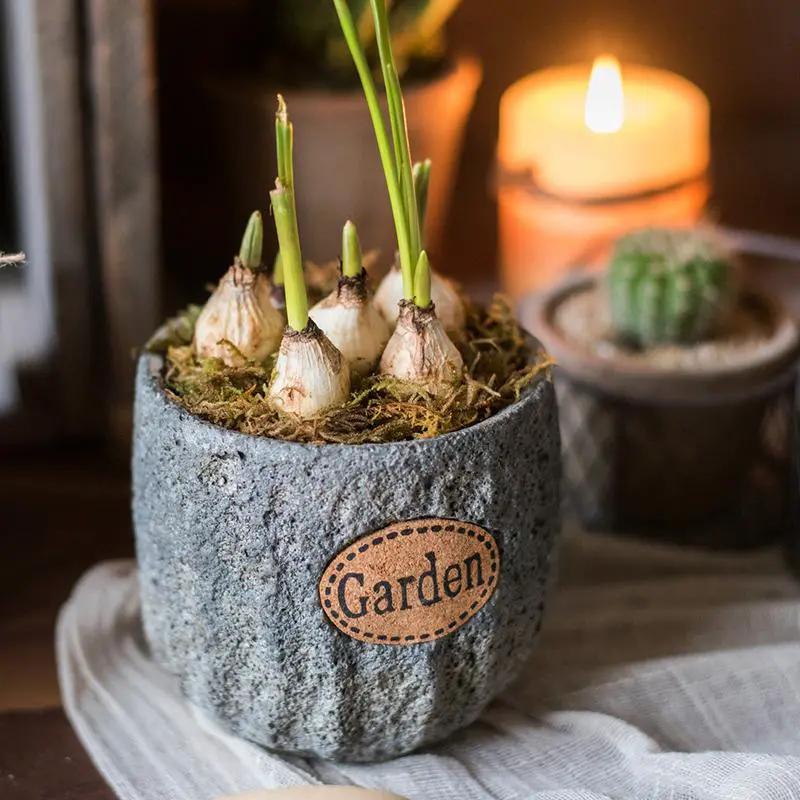 Cement Stone Tiny Garden Planter by RusticReach