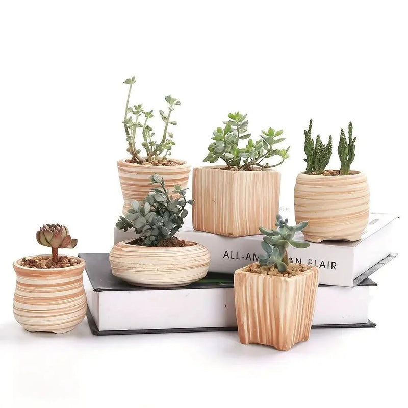 Ceramic Gift Pots for Celebrations with Unique Designs and Colors by House Of Avana