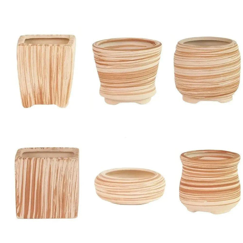 Ceramic Gift Pots for Celebrations with Unique Designs and Colors by House Of Avana