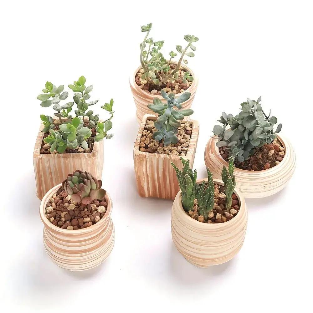 Ceramic Gift Pots for Celebrations with Unique Designs and Colors by House Of Avana