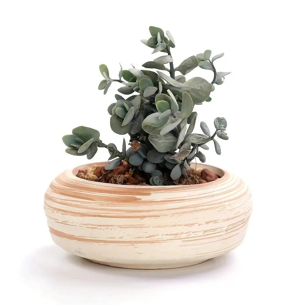 Ceramic Gift Pots for Celebrations with Unique Designs and Colors by House Of Avana