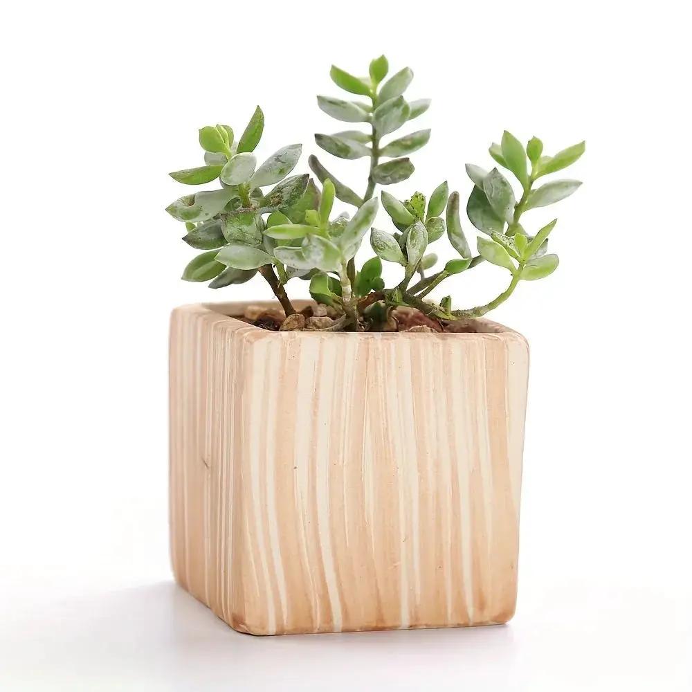 Ceramic Gift Pots for Celebrations with Unique Designs and Colors by House Of Avana