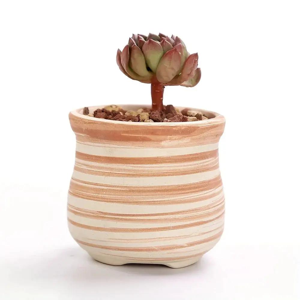 Ceramic Gift Pots for Celebrations with Unique Designs and Colors by House Of Avana