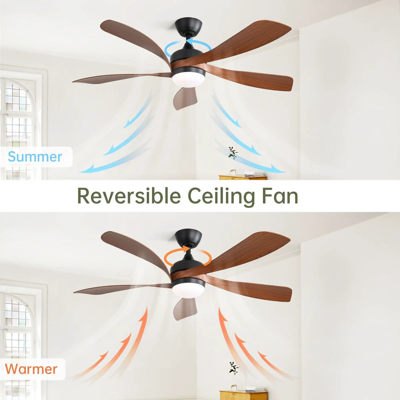 Ceiling Fan & DC Motor And Integrated Light by Unique Piece Furniture