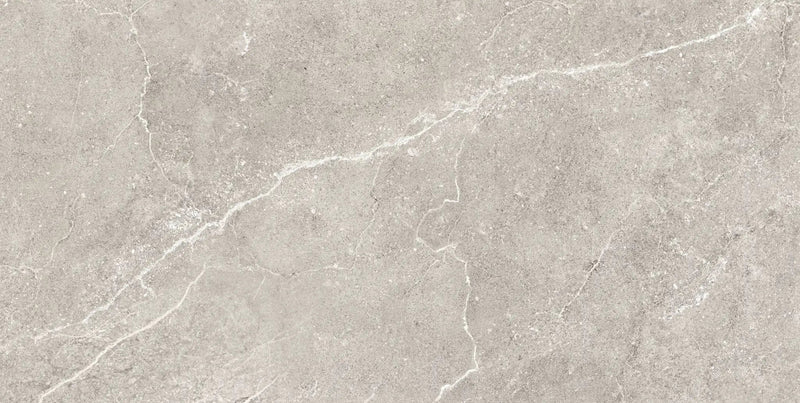 Charleston Grey Porcelain Tiles 12x24 by landmarkceramics