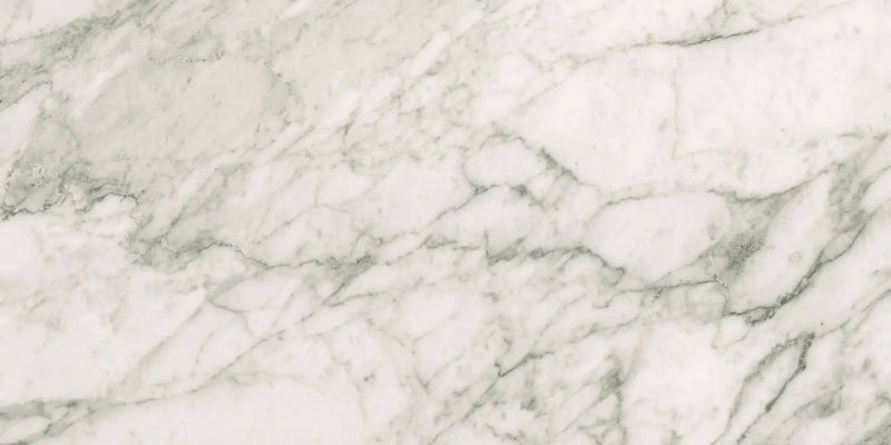 Charme Evo Renoir Plus Marble Look Porcelain Tiles 12x24 by landmarkceramics