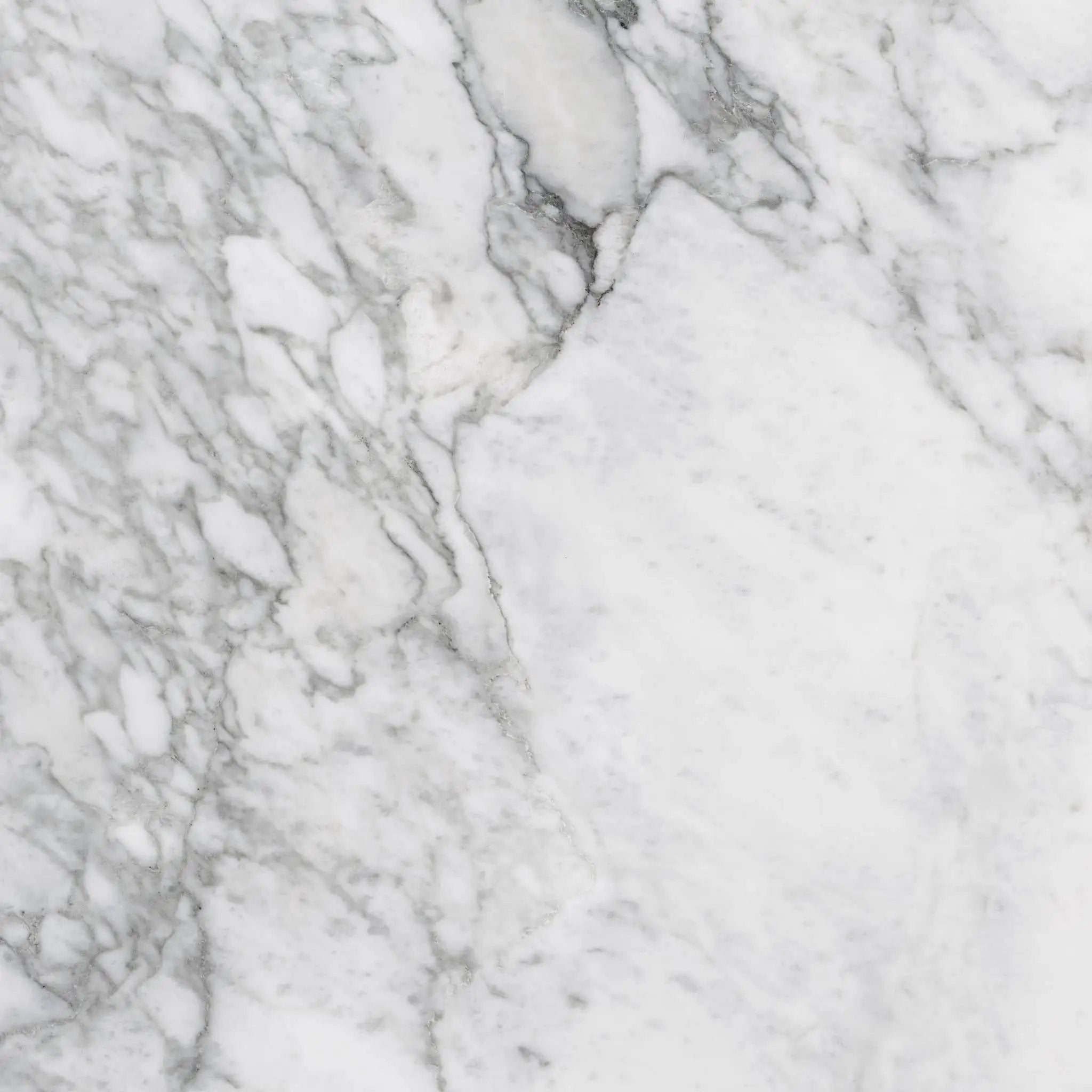 Charme Evo Renoir Plus Marble Look Porcelain Tiles 24x24 by landmarkceramics