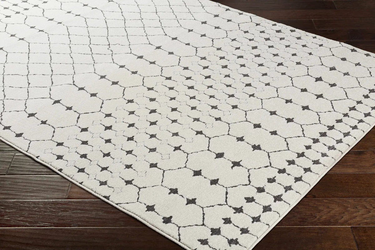 Chubbuck Moroccan Trellis Rug - Clearance, photo 13 of 16