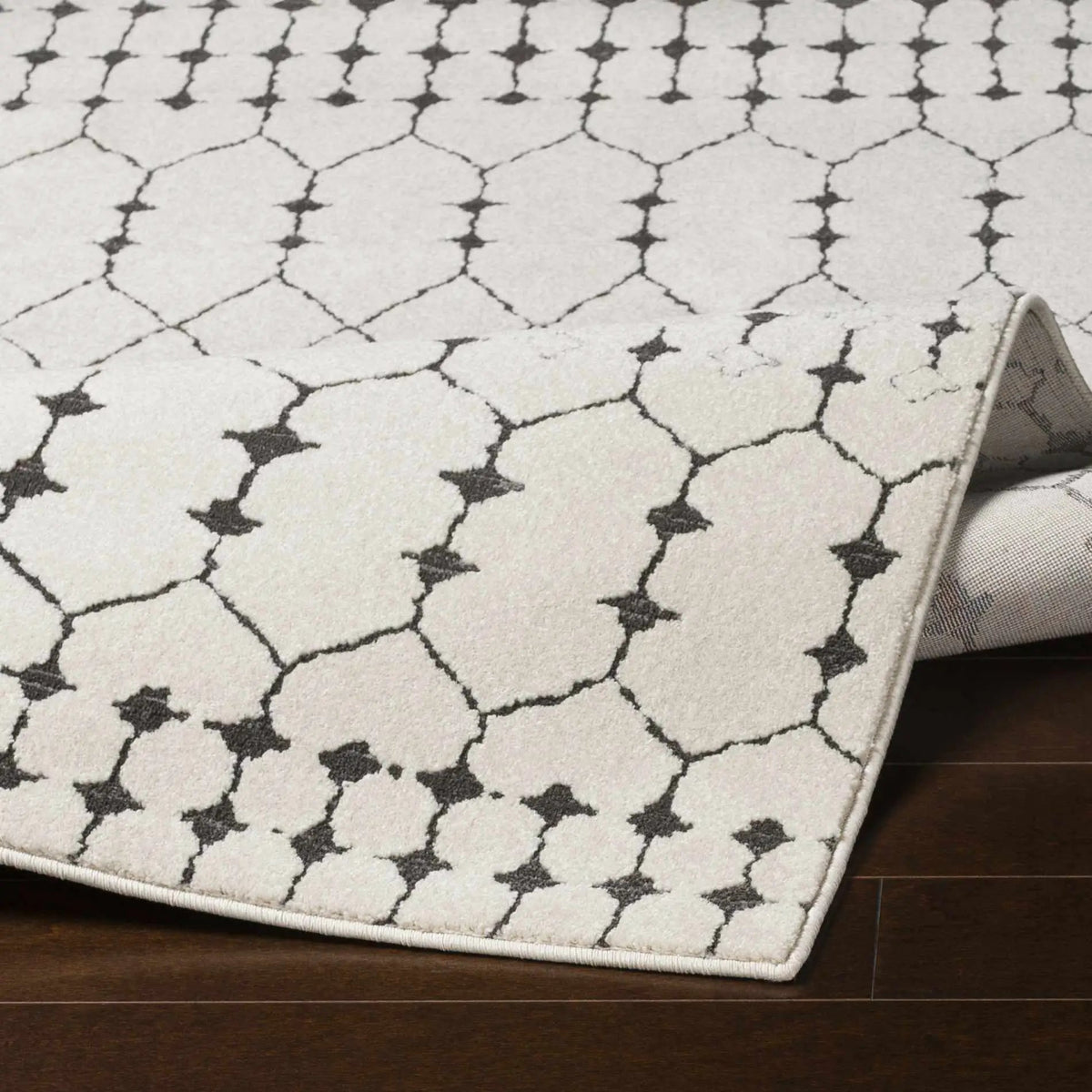 Chubbuck Moroccan Trellis Rug - Clearance, photo 8 of 16