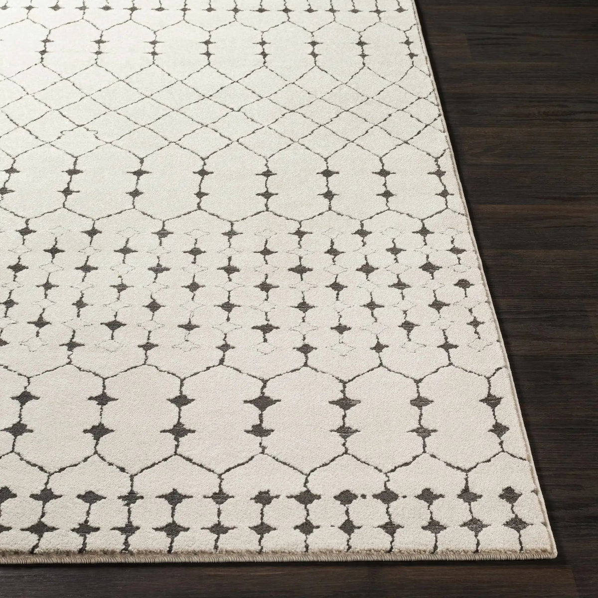 Chubbuck Moroccan Trellis Rug - Clearance, photo 7 of 16