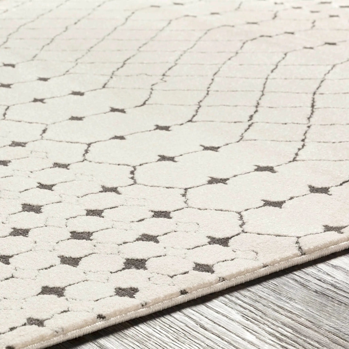 Chubbuck Moroccan Trellis Rug - Clearance, photo 15 of 16