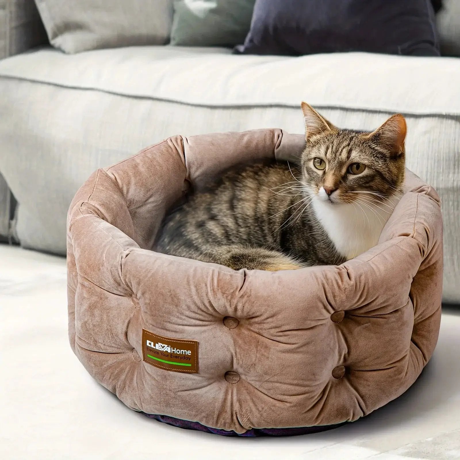 ClevaHome Deep Nest Cat Bed for Small Pets up to 15lbs - Round Cat Beds for Indoor Cats, Luxurious Velvet Feel, Extra High Sides, Machine Washable Comfort Pet Bed with Non-Slip Bottom by House Of Avana