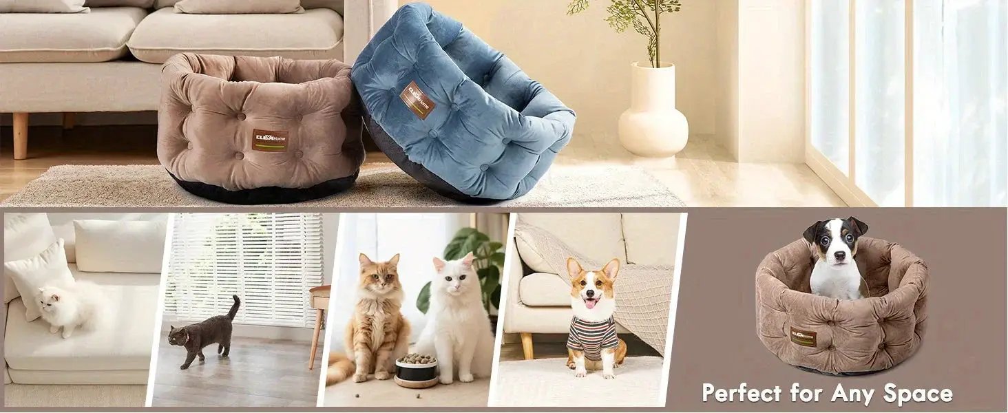 ClevaHome Deep Nest Cat Bed for Small Pets up to 15lbs - Round Cat Beds for Indoor Cats, Luxurious Velvet Feel, Extra High Sides, Machine Washable Comfort Pet Bed with Non-Slip Bottom by House Of Avana