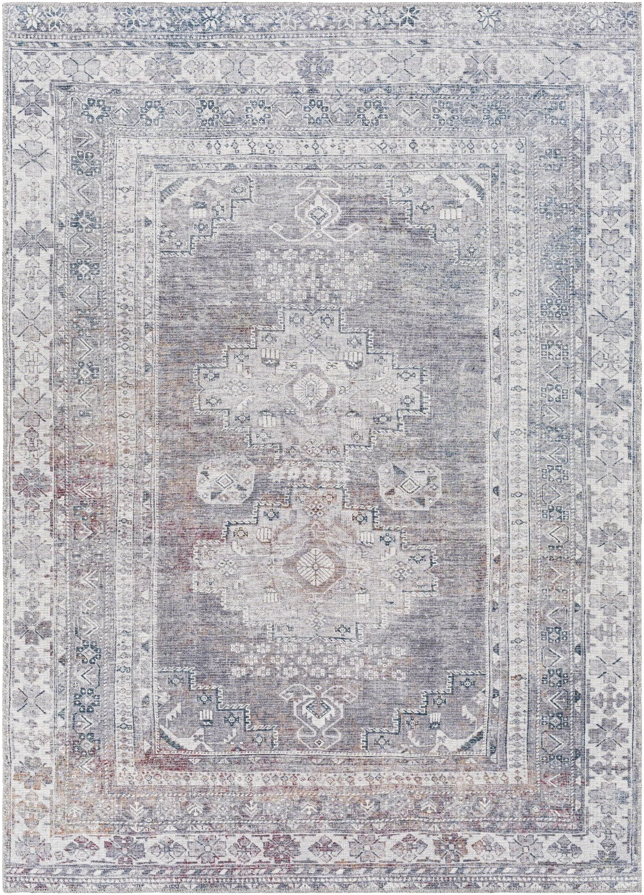 Baltinglass Brown Washable Area Rug by Hauteloom