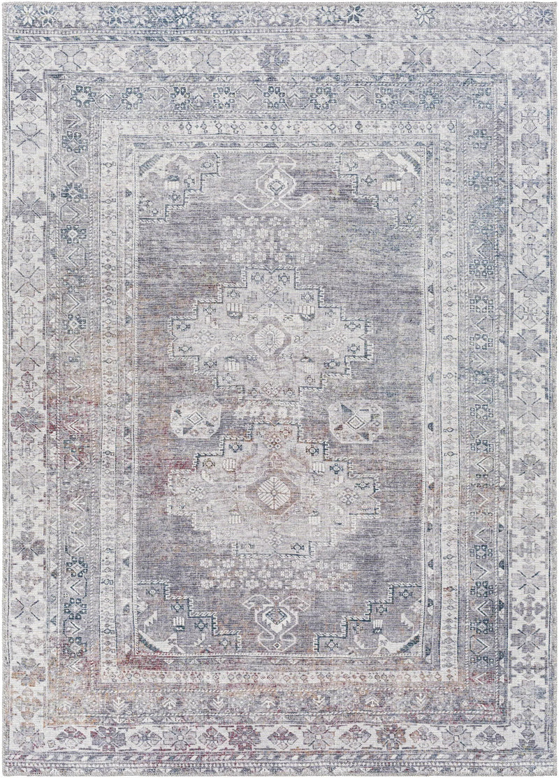 Baltinglass Brown Washable Area Rug by Hauteloom