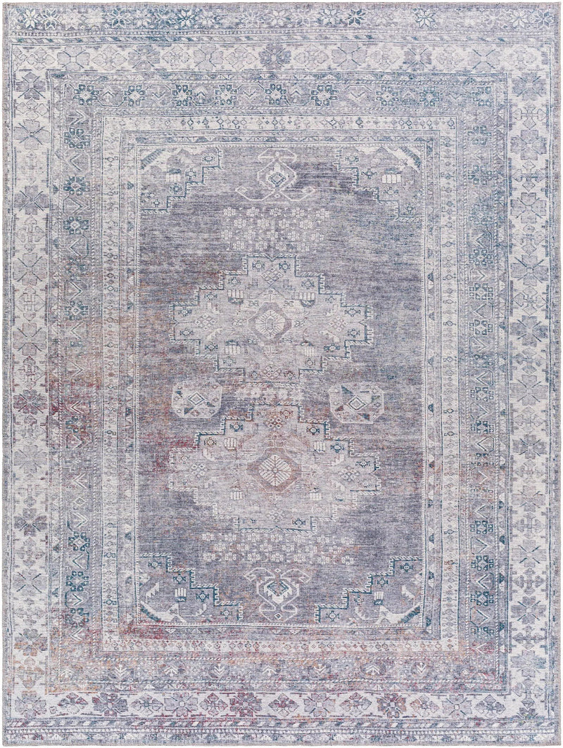 Baltinglass Brown Washable Area Rug by Hauteloom