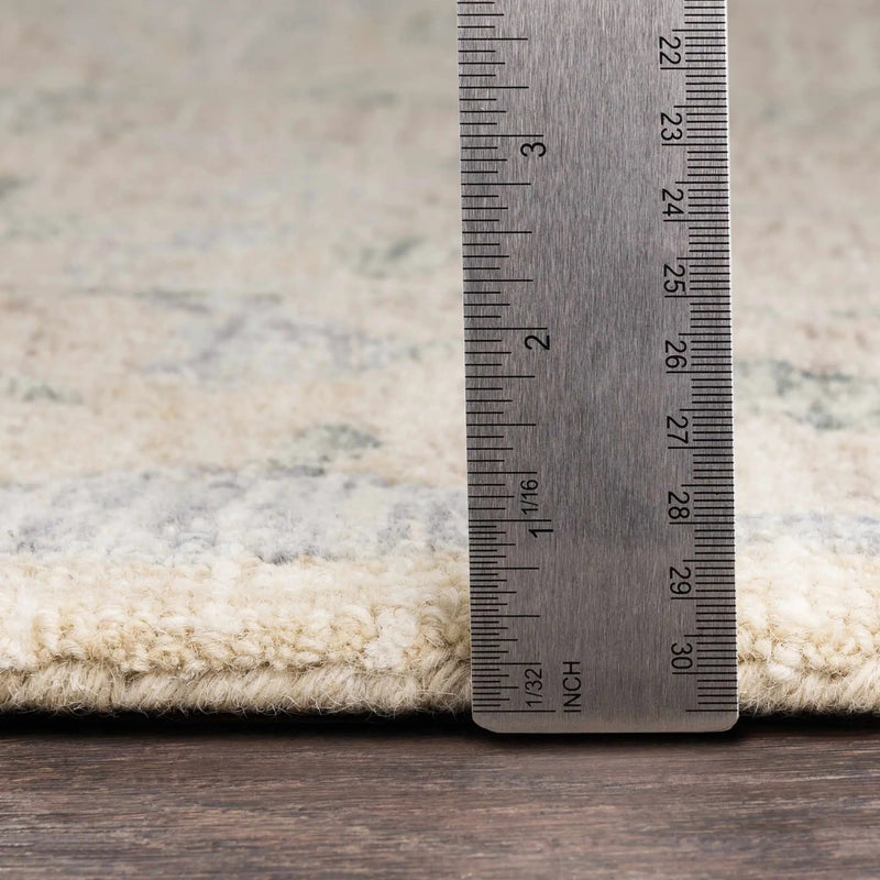 Connellsville Area Rug by Boutique Rugs