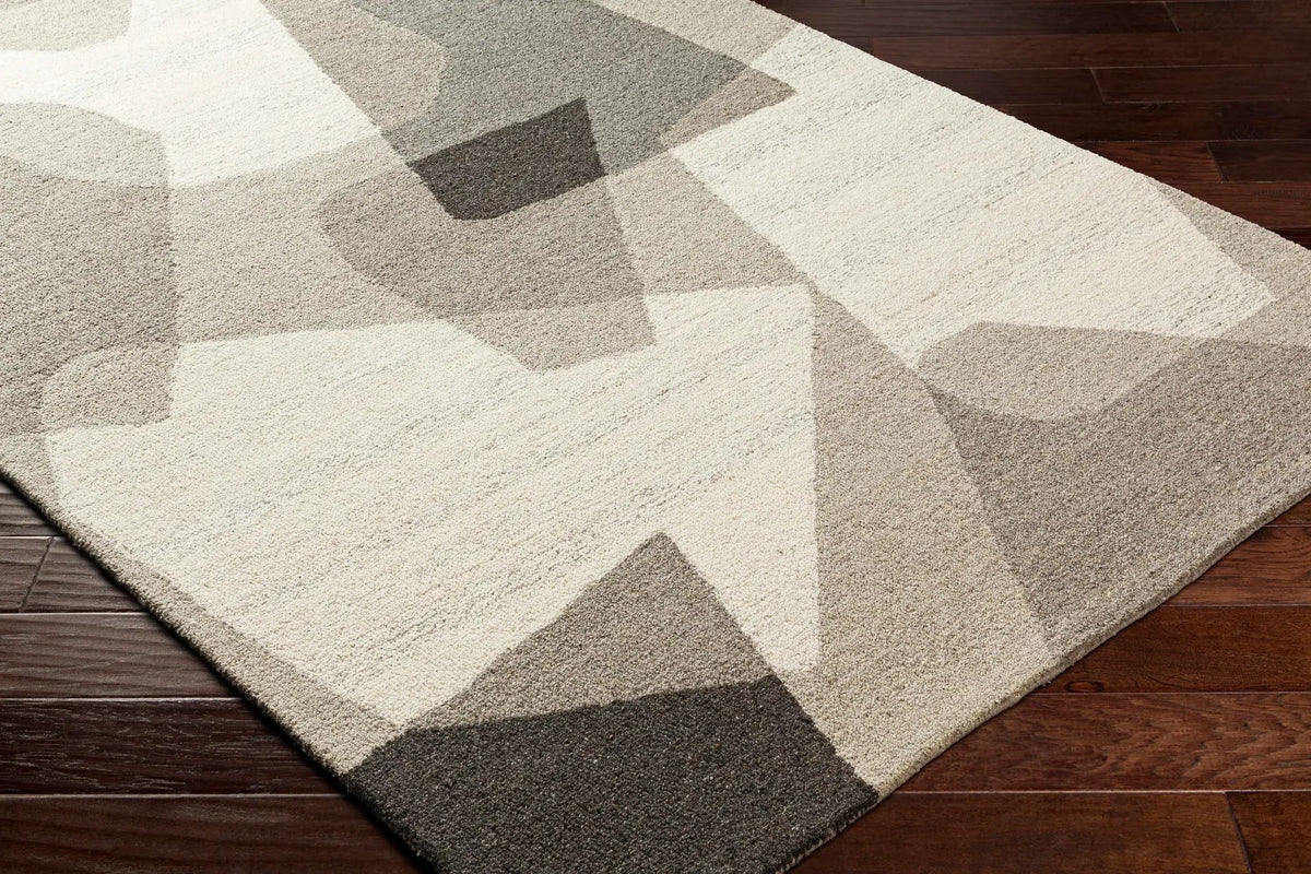 Colin Area Rug, photo 4 of 6