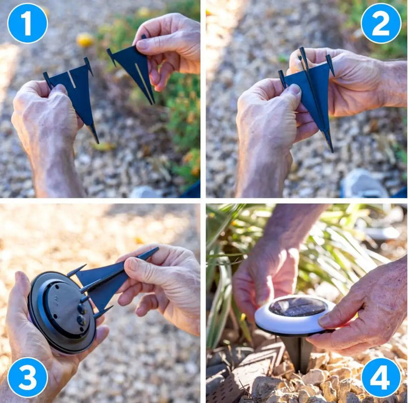 Colorize Solar Lights Color Change Ring Lights In-Ground 6 Pack by Outdoor Solar Outlet