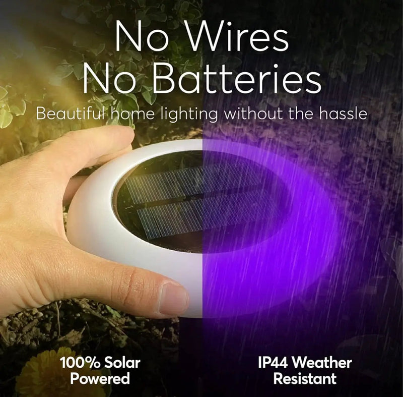 Colorize Solar Lights Color Change Ring Lights In-Ground 6 Pack by Outdoor Solar Outlet