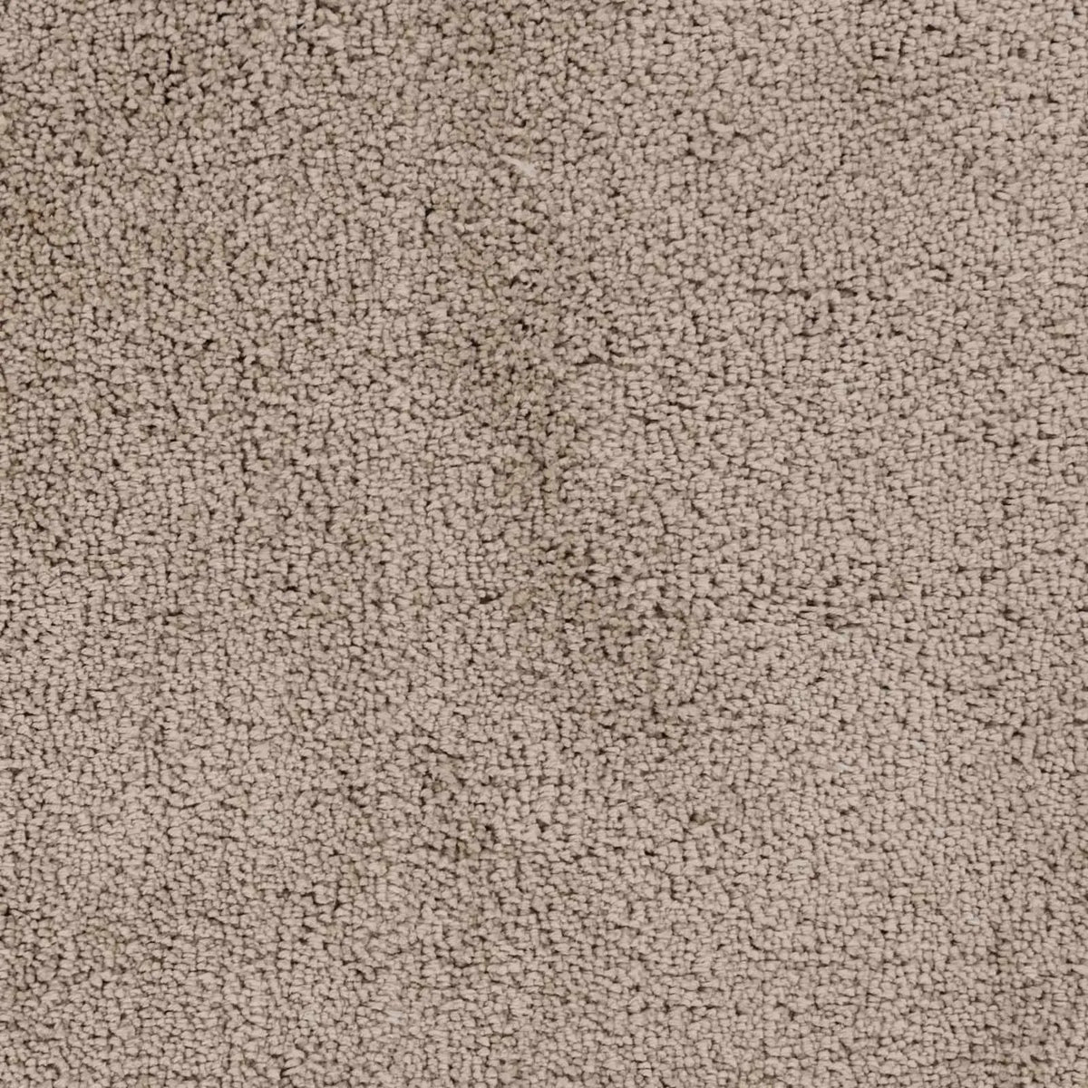 Tingly 2x3 Hand Woven Solid Cream Shag Rug - Clearance, sample swatch
