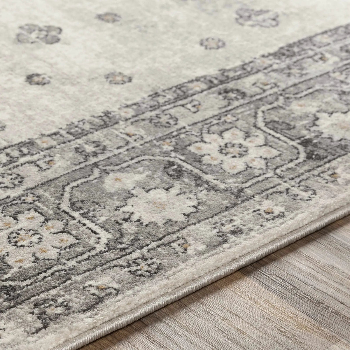 Congress Area Rug - Clearance, photo 6 of 7