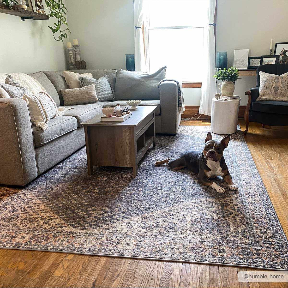 Seok Washable Area Rug - Clearance by Boutique Rugs