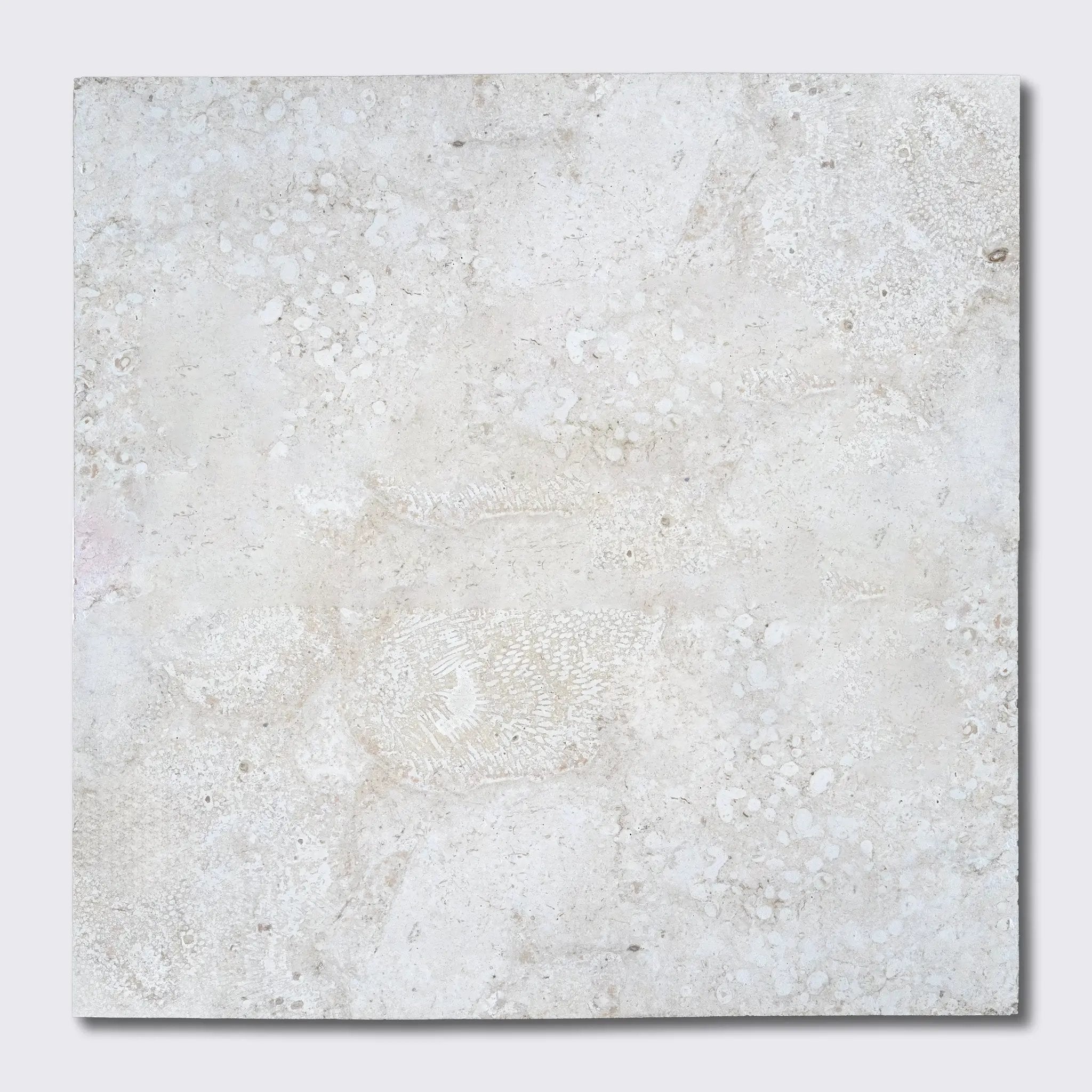 Coral Honed Filled Ion Tiles 24x24 by Stonetiledepot