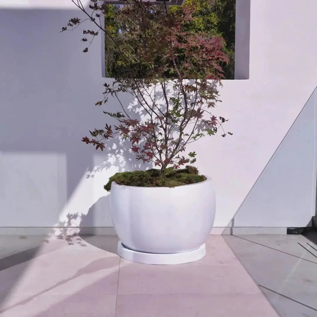 Corsica Lightweight Planter Fiber Series by ModaConcrete - Direct source for architectural and precast concrete