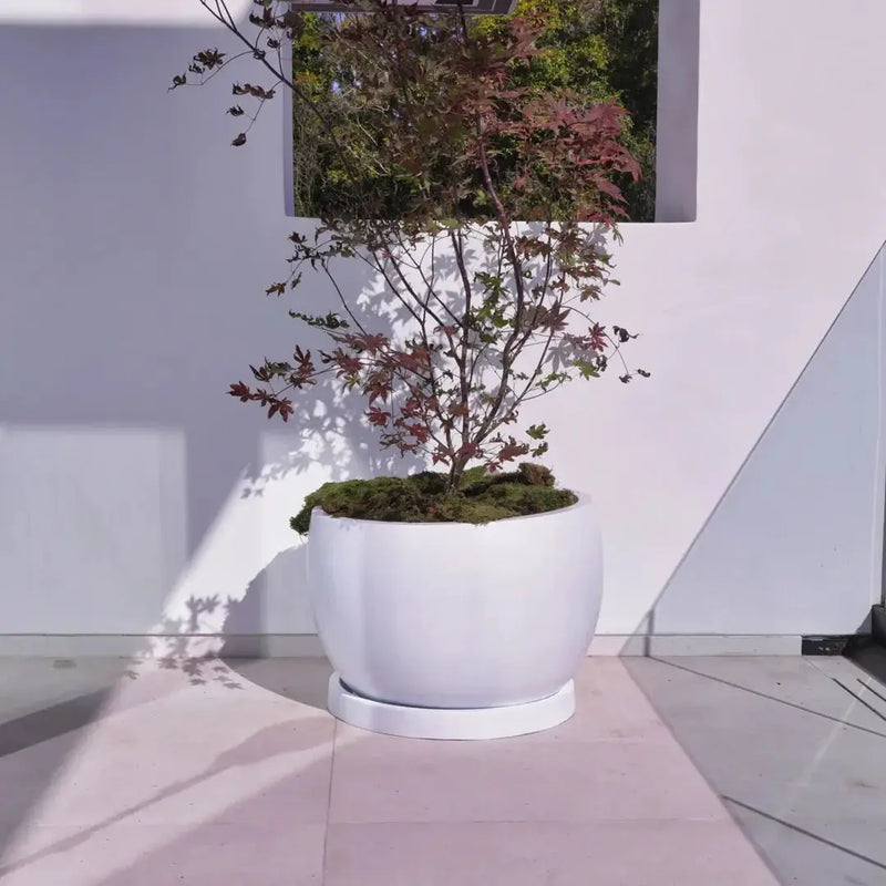 Corsica Lightweight Planter Fiber Series by ModaConcrete - Direct source for architectural and precast concrete