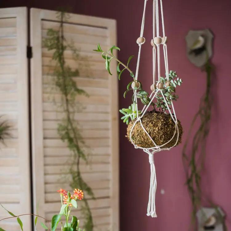 Cotton Hemp Rope Planter Hanger by RusticReach