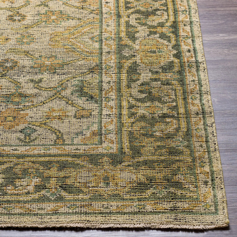 Coylton Area Rug - Clearance by Boutique Rugs
