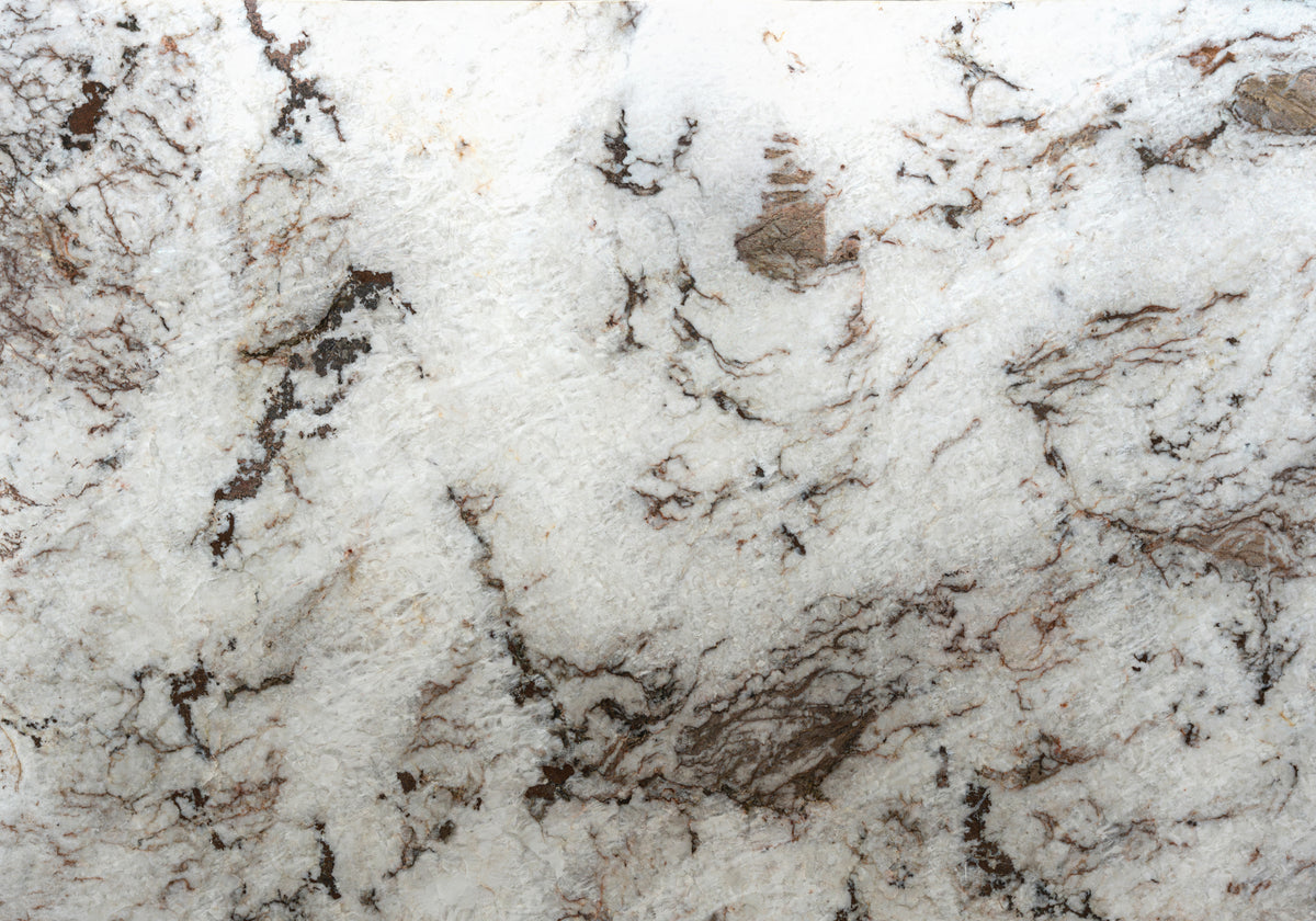 Cristallo Oak Polished Quartzite Slab Random
