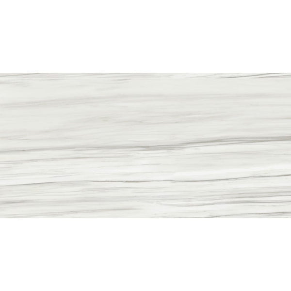 Cs 2.0 Carrara Zebrino Polished 24x48 Rec