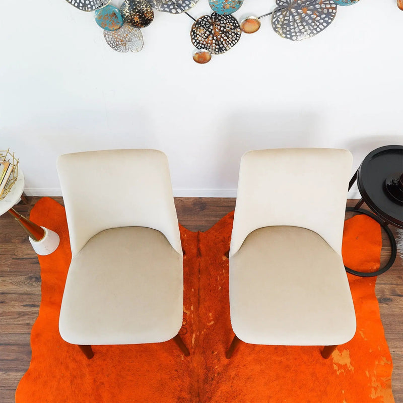 Clove - Mid-Century Dining Chair (Set of 2) by HouseOfZazla