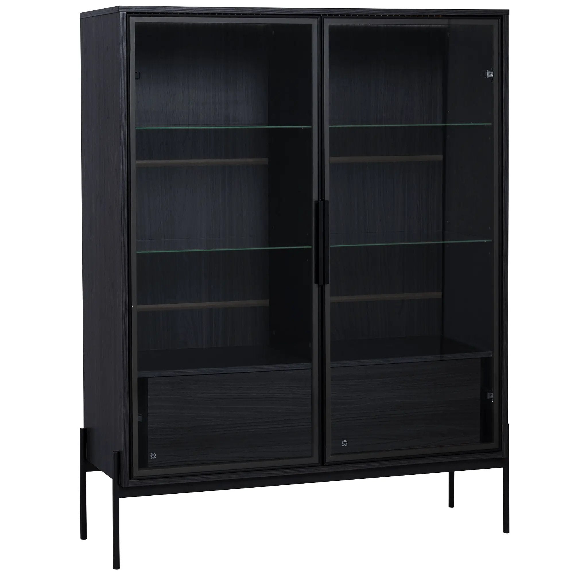 Modern Minimalist Style LED Curio Cabinet With Tempered Glass Door, Metal Legs by HouseOfZazla