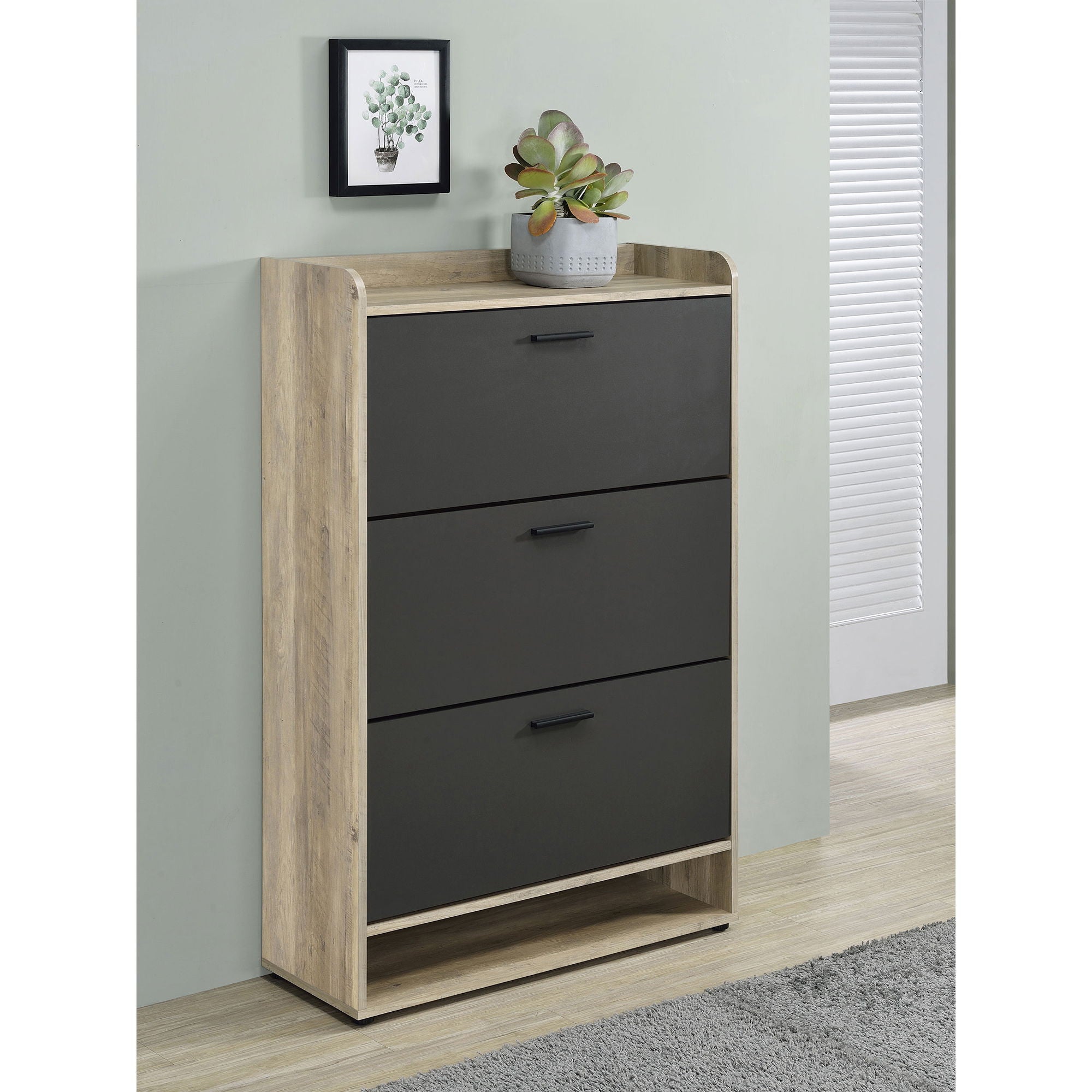 Kyla - 3 Tier Shoe Cabinet by HouseOfZazla