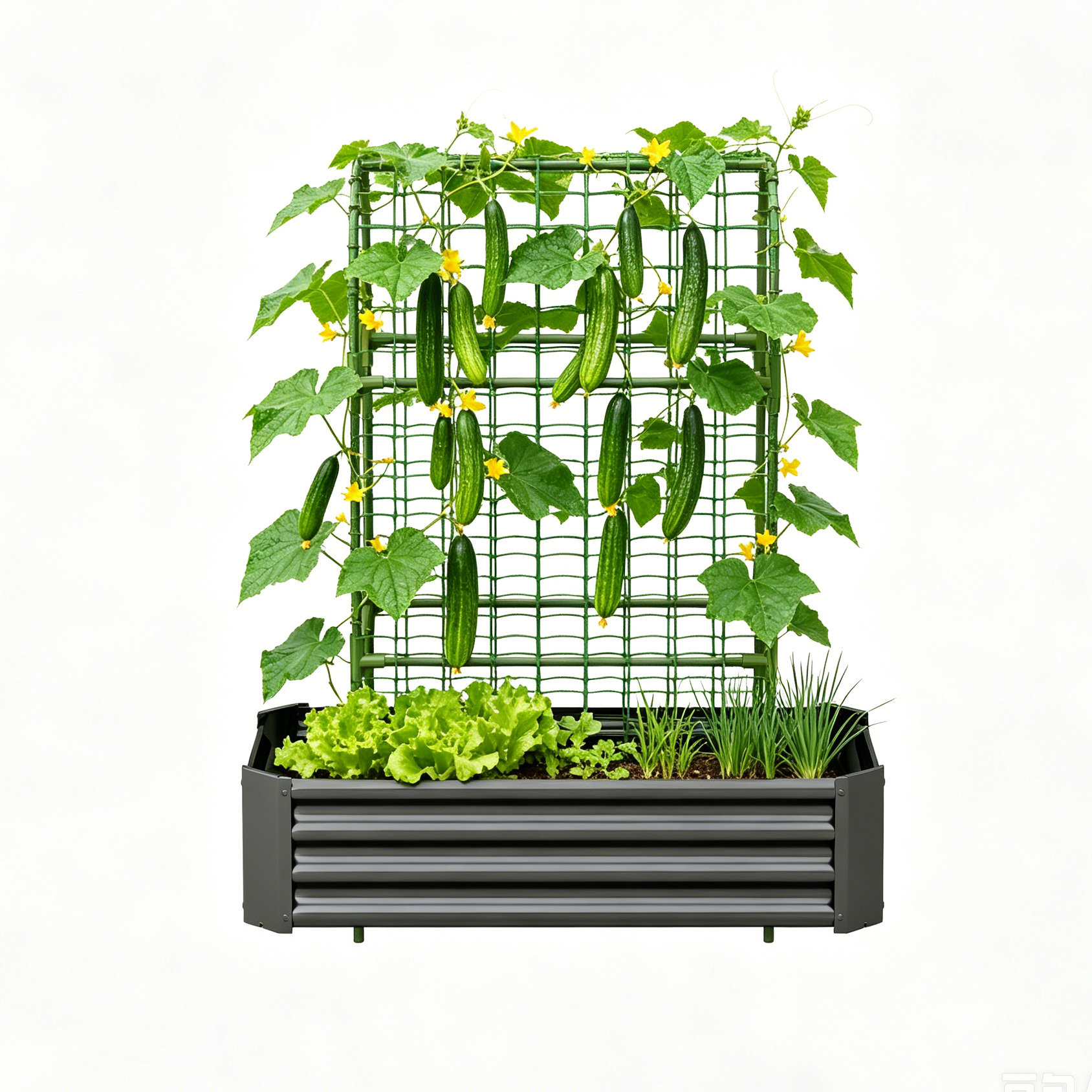 2-in-1 Raised Garden Bed with Trellis - 4x2x1 Ft Outdoor Planter by HouseOfZazla