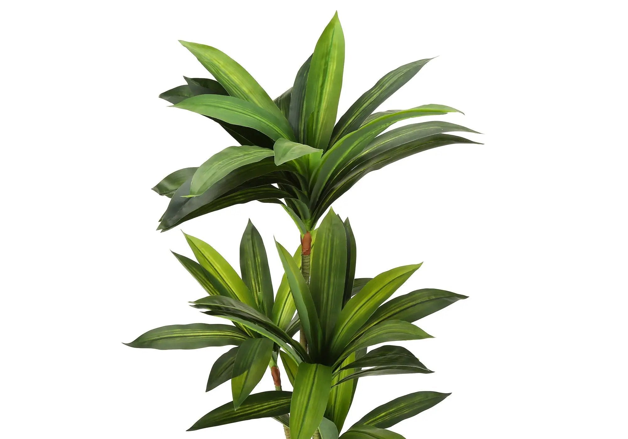 51" Tall, Artificial Plant, Dracaena Tree, Indoor, Faux, Fake, Floor, Greenery, Potted, Real Touch, Decorative - Green / Black by Unique Piece Furniture