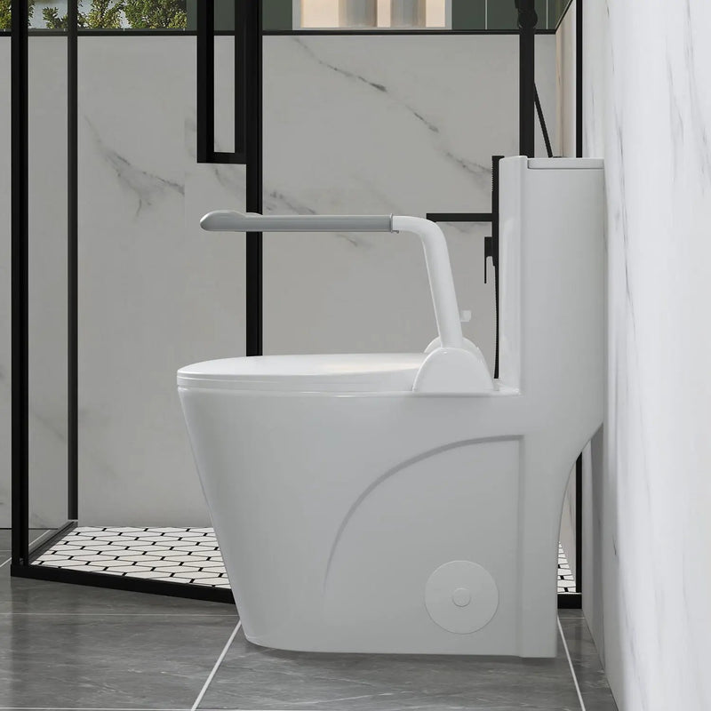 Upgraded Design Armrest, With Glossy Gw 007 1 Piece Toilet With Tornado Flush, Soft Close Seat, Dual Flush Map 1000G, Comfort Chair Seat - Gloss White by HouseOfZazla