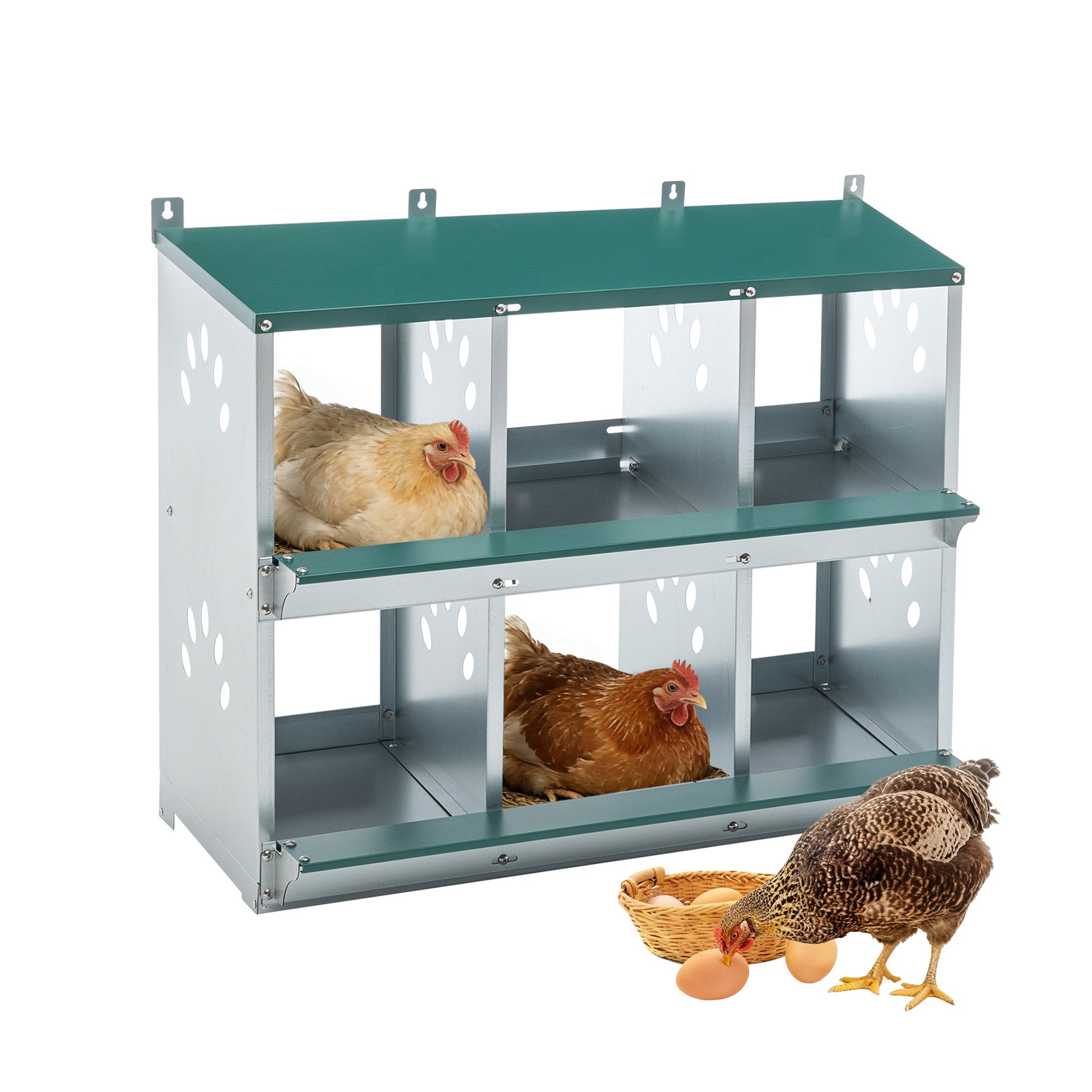 Chicken Nesting Box, 6 Room Metal Nesting Boxes for Chicken by HouseOfZazla