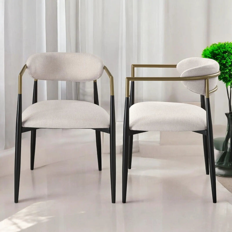 Jaramillo - Contemporary Side Chair (Set of 2) by HouseOfZazla