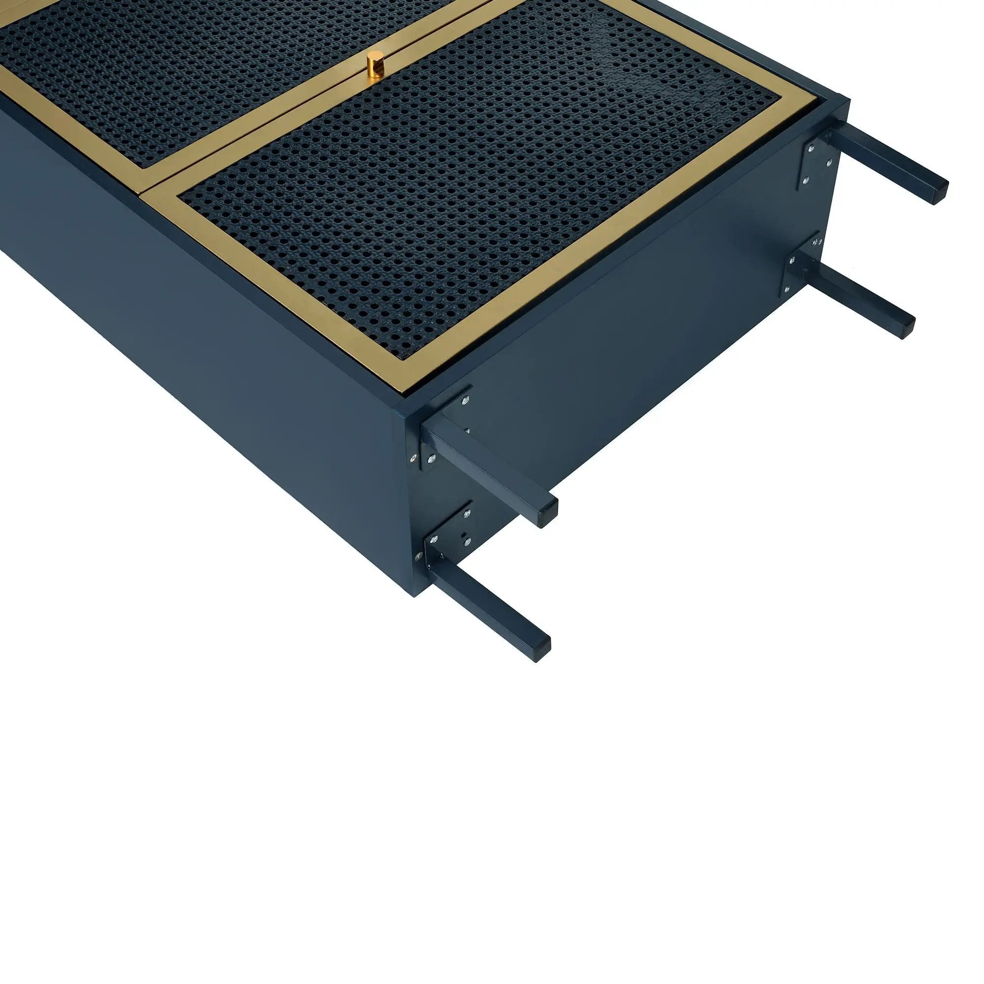 Modern Rattan 3 Door Shoe Rack Cabinet for Entryway by HouseOfZazla