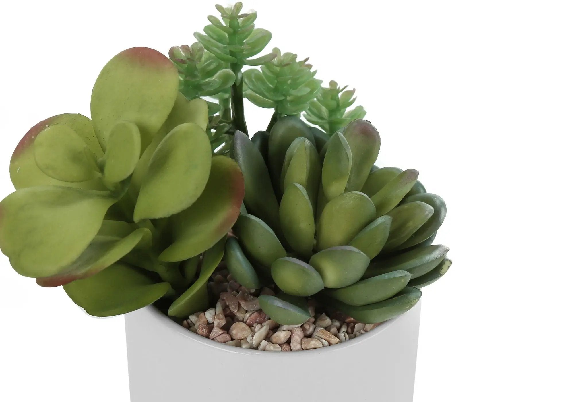 7" Tall Artificial Succulent Plant Set of 2 with White Ceramic Pots by HouseOfZazla