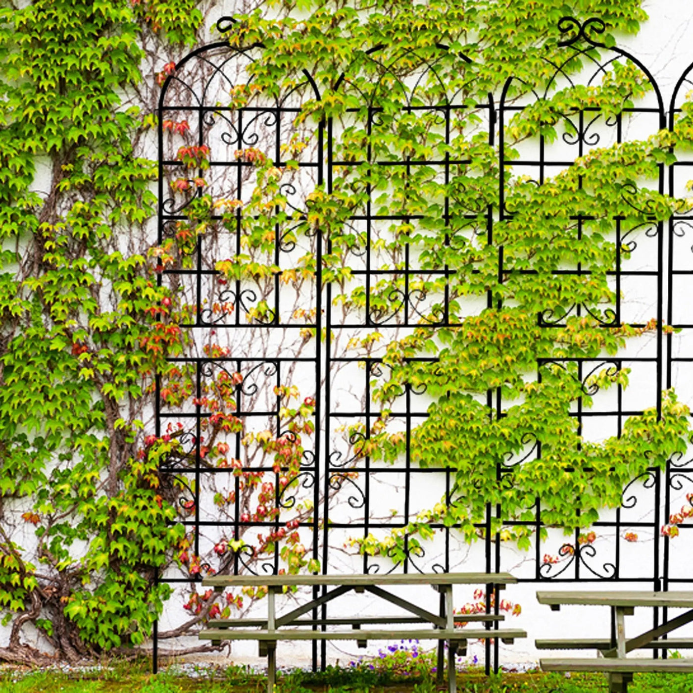 Metal Garden Rustproof Trellis For Climbing Plants Outdoor Flower Support by Unique Piece Furniture