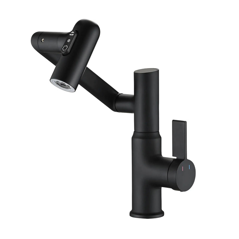 Bathroom Sink Faucet With Spray Function And Temperature Display, Anti Skid Switch, 360 Degree Rotary by HouseOfZazla