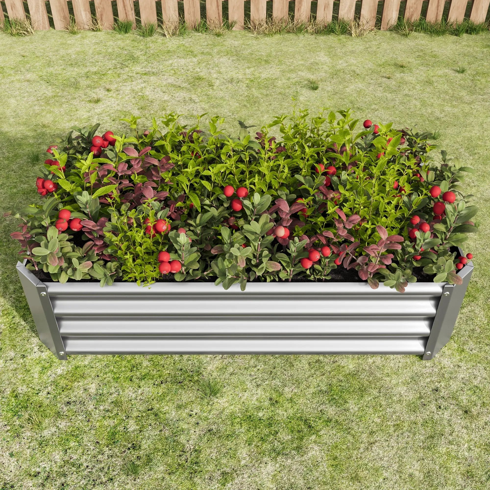 Metal Raised Garden Bed 4x2x1 ft by HouseOfZazla