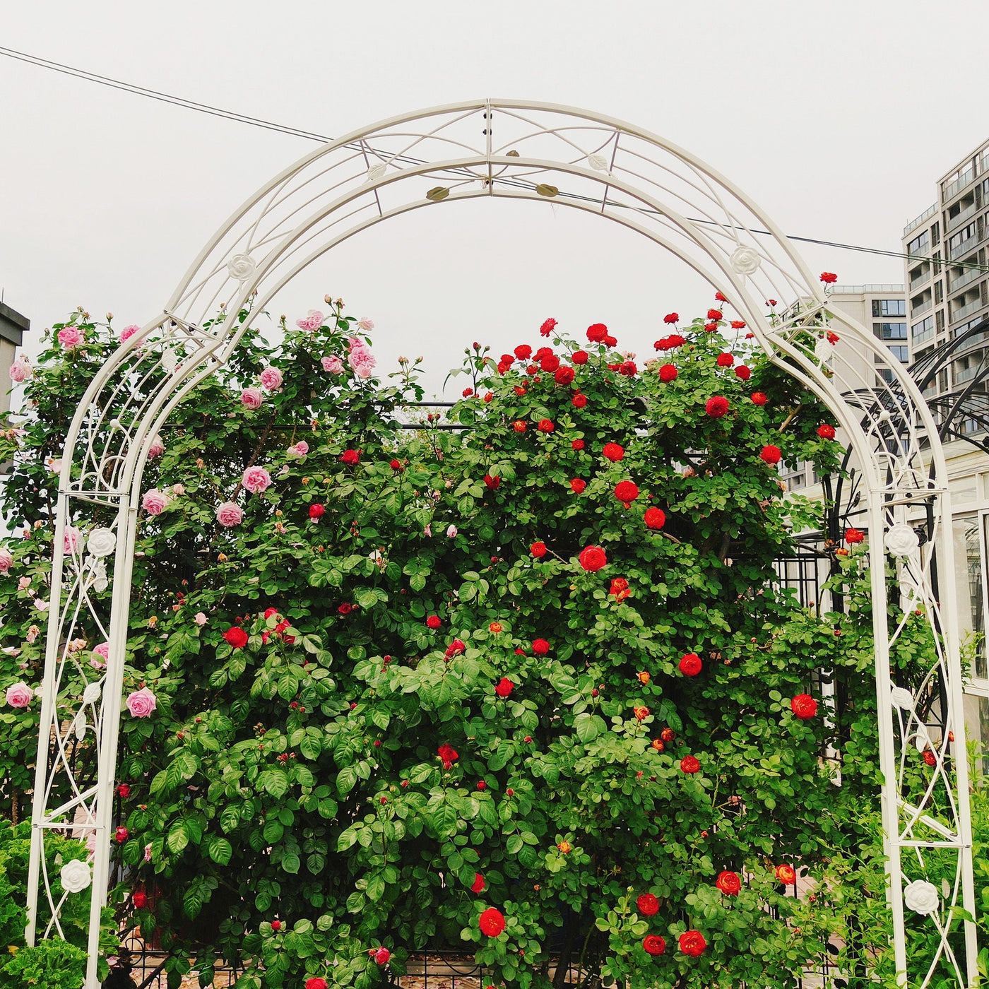 Metal Garden Arch Assemble Freely With 8 Styles Garden Arbor Trellis Climbing Plants Support Rose Arch by Unique Piece Furniture