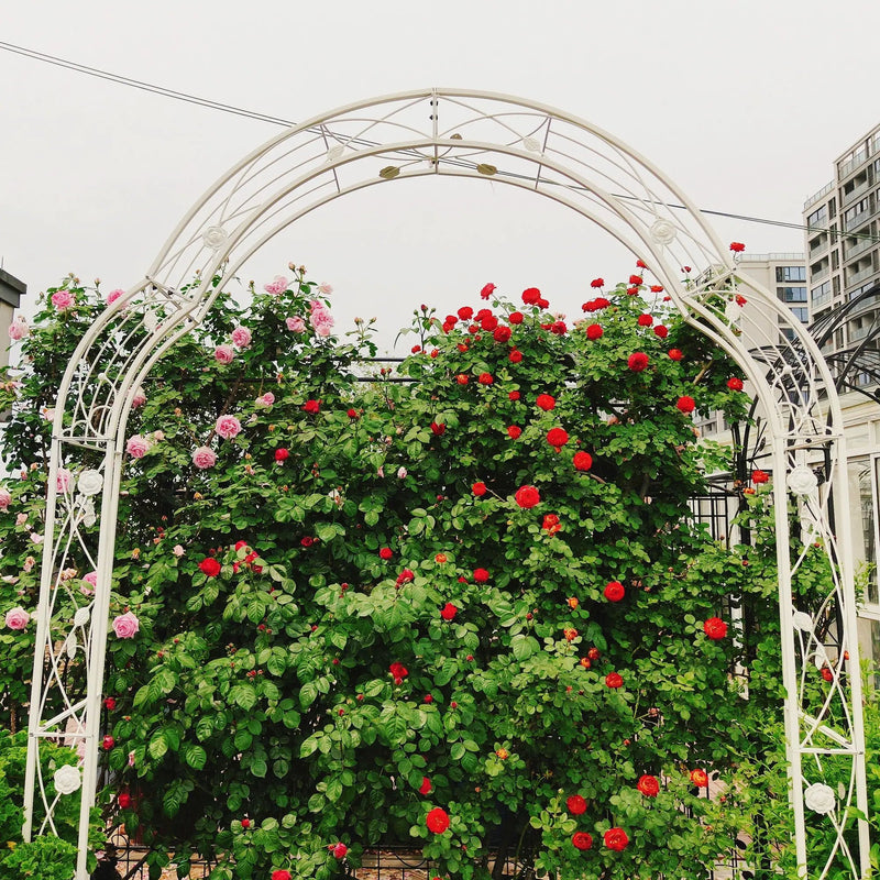 Metal Garden Arch Assemble Freely With 8 Styles Garden Arbor Trellis Climbing Plants Support Rose Arch by Unique Piece Furniture