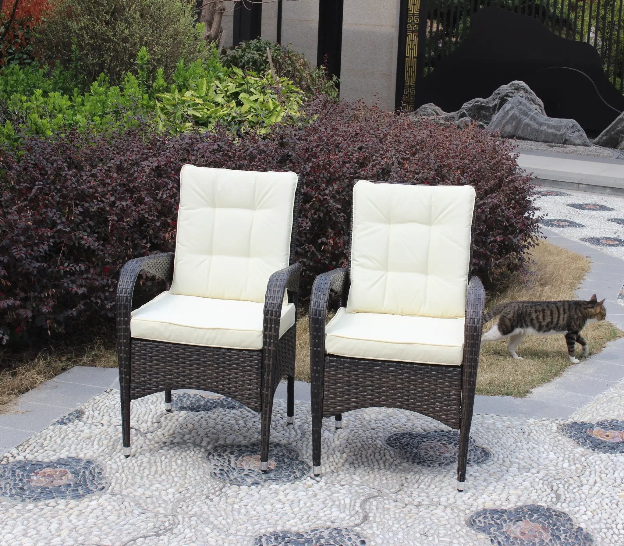 2-Piece Liberatore Dining Chairs with Beige Cushions by HouseOfZazla
